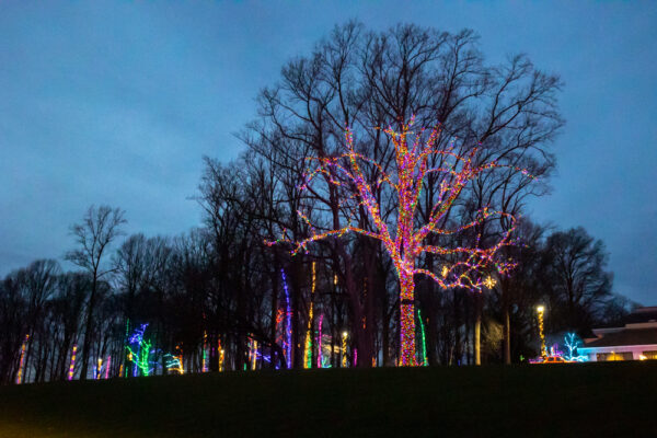 Christmas Lights at Herr's in Nottingham Pennsylvania