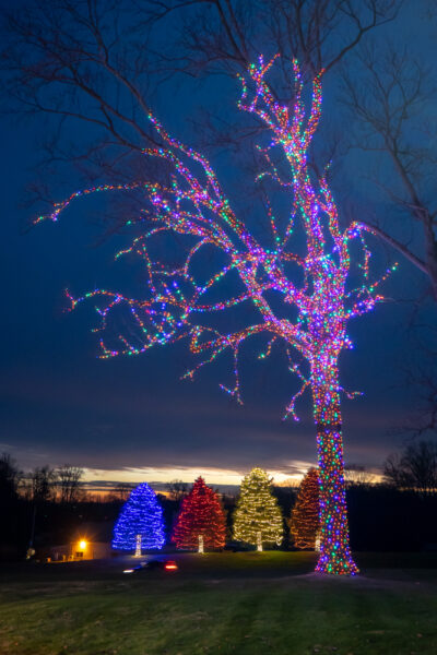 Beautiful tree at the Herr's Christmas lights display in Nottingham PA