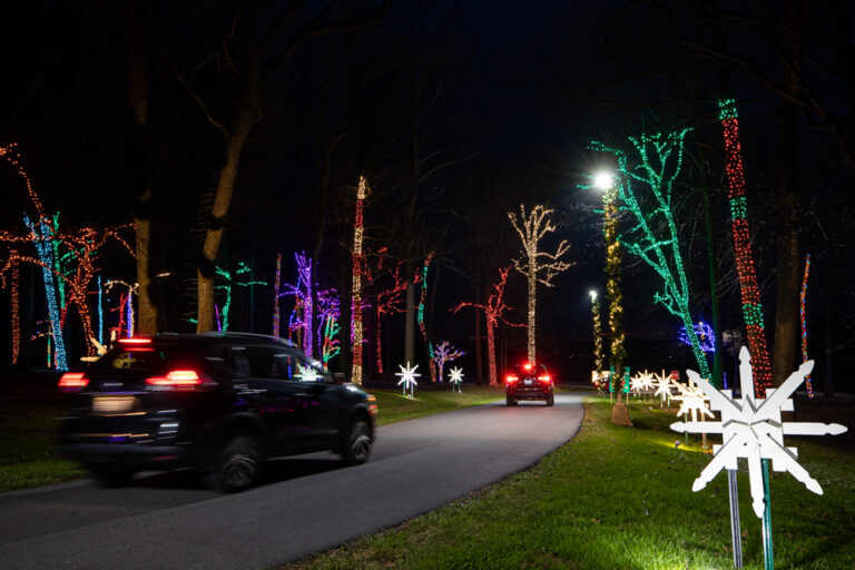 Festive Fun at the Free Herr's Christmas Lights in Chester County