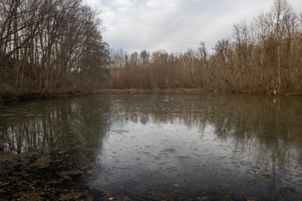 Pond Trail in Silver Mine Park in Pennsylvania