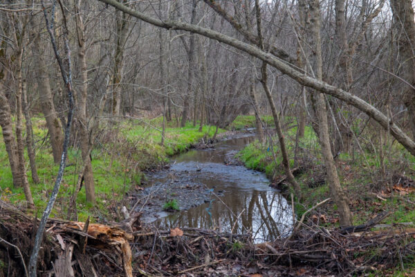 Stream through Silver Mine Park in Lancaster County PA