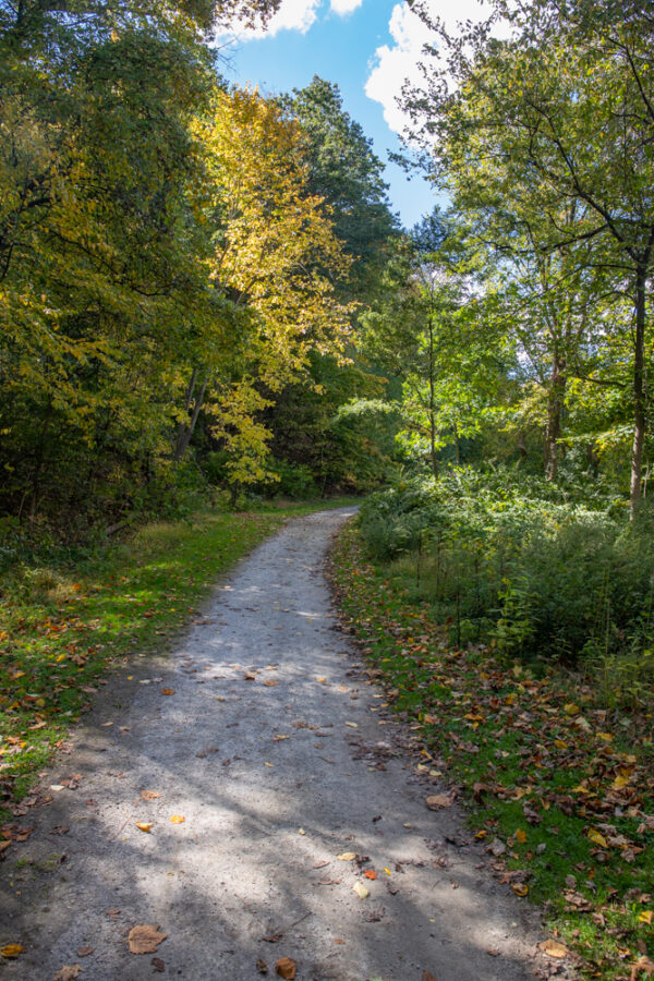 Hiking the Nine Mile Run Trail in Pittsburgh's Frick Park - Uncovering PA