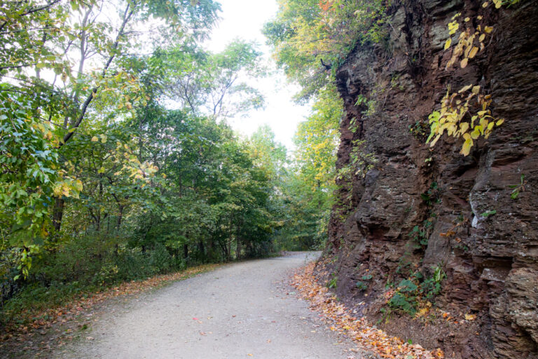 Hiking the Nine Mile Run Trail in Pittsburgh's Frick Park Uncovering PA