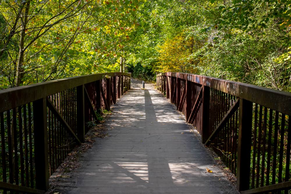 Hiking the Nine Mile Run Trail in Pittsburgh's Frick Park - Uncovering PA