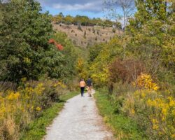 Hiking the Nine Mile Run Trail in Pittsburgh’s Frick Park