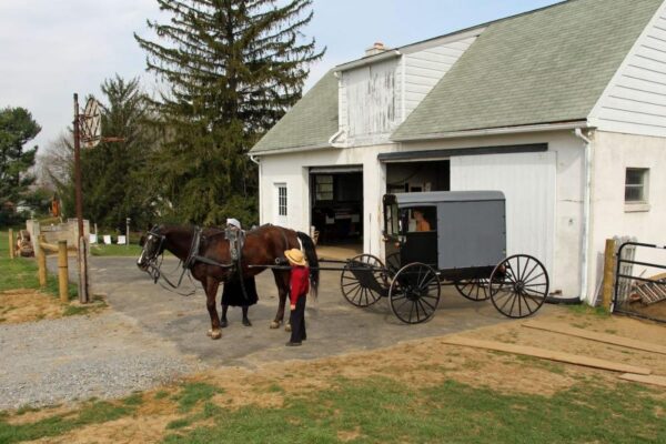 Amish Farm stay in Lancaster County, PA