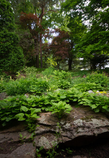 Foliage at the Sunken Gardens at Mount Assisi in Loretto Pennsyvlania