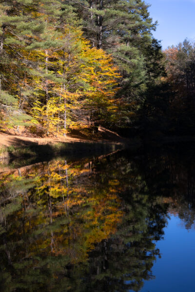 Fall pond in Hickory Run State Park in Pennsylvania