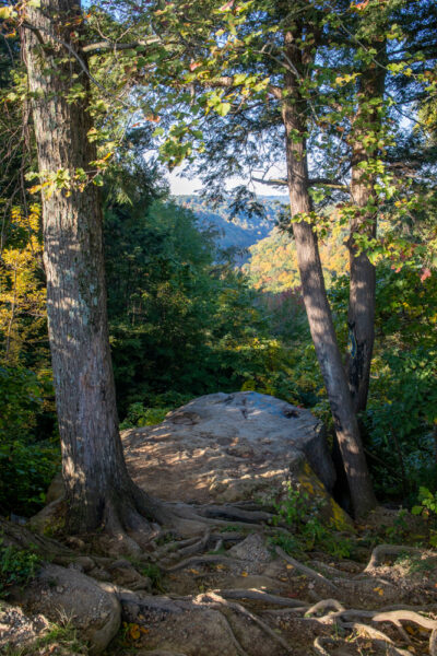 View from Cleland Rock in McConnells Mill State Park in western PA