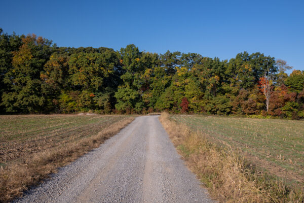 Road to Cleland Rock in McConnells Mill State Park in PA