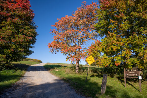 Road to Cleland Rock in McConnells Mill State Park