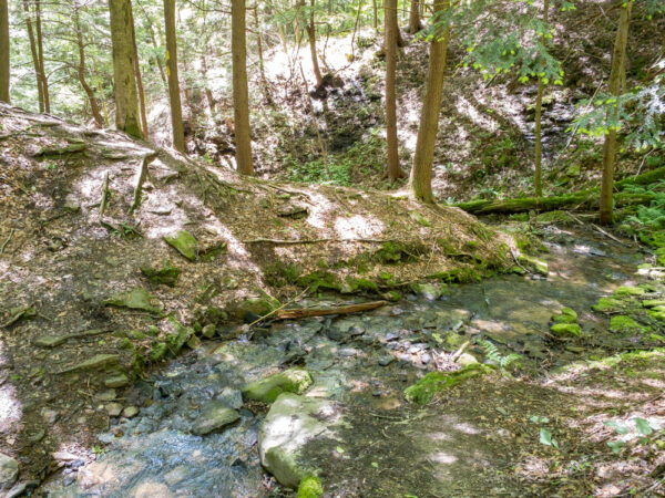 Stream crossing on the Gerard Trail in Venango County PA