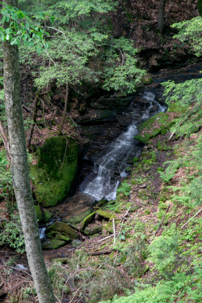 Plum Dungeon Falls in Oil Creek State Park