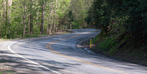 Route 44 passing through Tiadaghton State Park