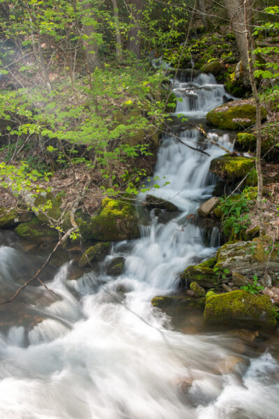 Waterfall in Upper Pine Bottom State Park near Lock Haven PA