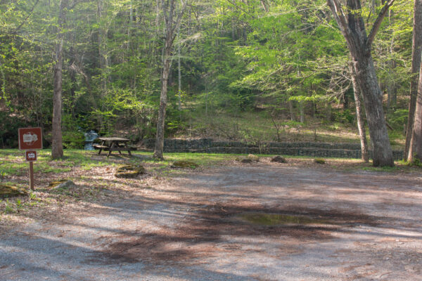 Picnic table at Upper Pine Bottom State Park in Lycoming County PA