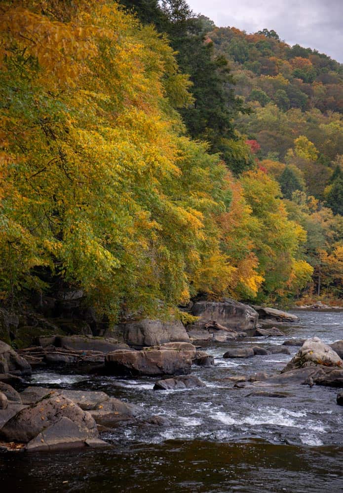 The Natural Waterslides in Ohiopyle State Park Everything You Need to