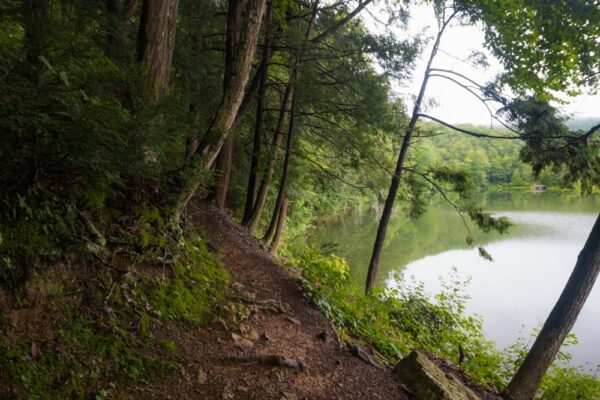 Lakeview Trail in Greenwood Furnace State Park