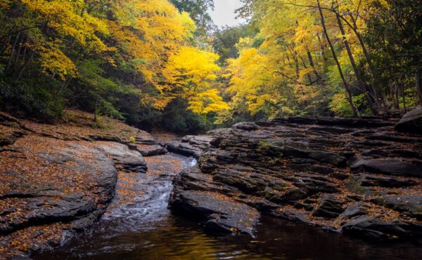 Natural Waterslides in Ohiopyle, PA