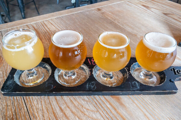 A flight of beer from Levity Brewing Company in Indiana PA