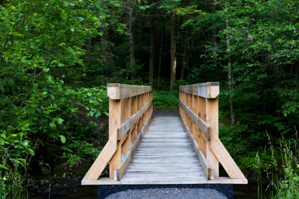 Bridge over Honey Creek in Reeds Gap State Park in PA