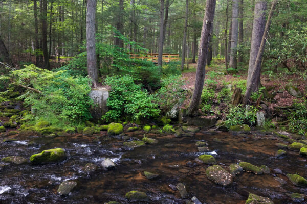 Honey Creek in Reeds Gap State Park in Mifflin County PA