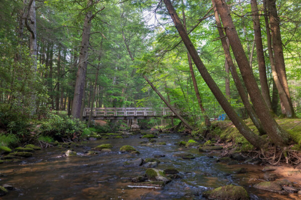 Honey Creek and a bridge in Reeds Gap State Park in Mifflin County Pennsylvania