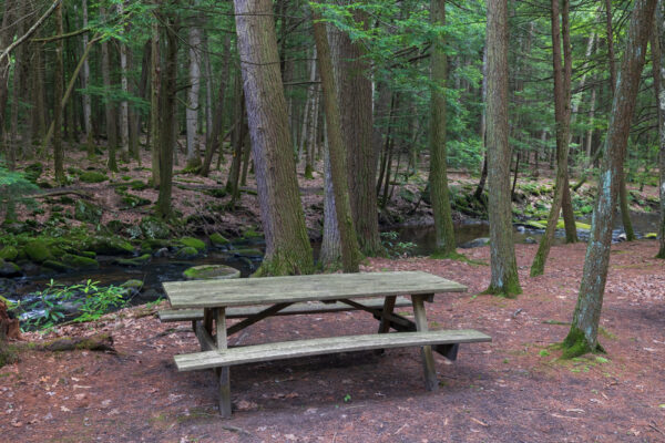 Picnic table in Reeds Gap State Park near Lewistown PA