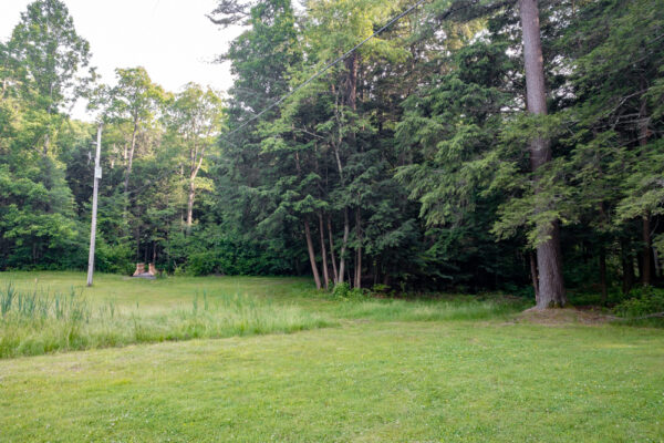 Field in Reeds Gap State Park in Mifflin County PA