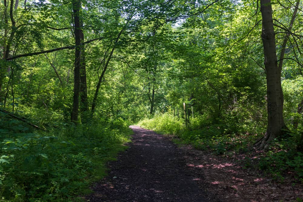Hiking the Surprisingly Awesome Seldom Seen Greenway in Pittsburgh