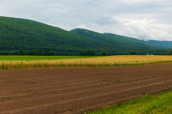 Farmland in Clinton County near Pine Creek