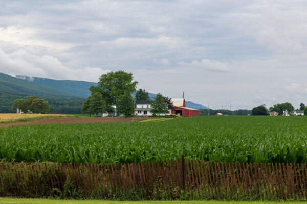 Farmland in Clinton County PA