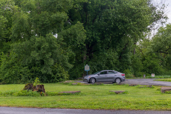 Looking at the parking area for the Tiadaghton Elm sign