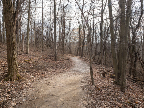 Waterfall Trail in Settler's Cabin Park in Pittsburgh Pennsylvania