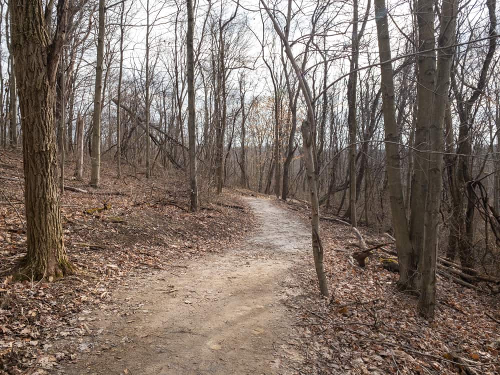 How to Get to the Waterfall in Settler's Cabin Park near Pittsburgh