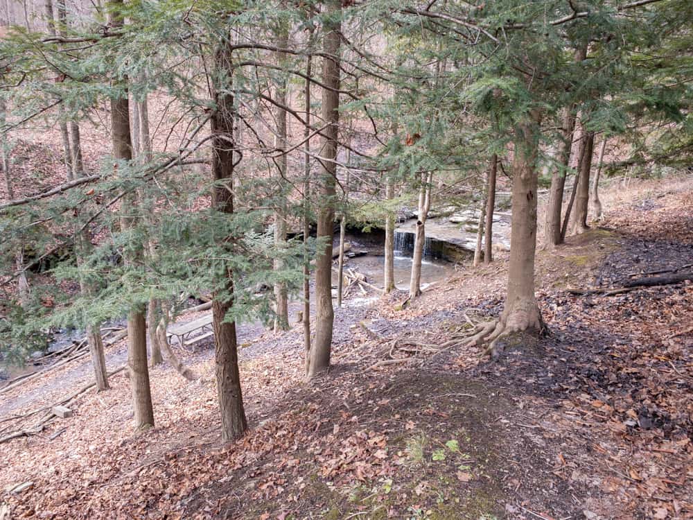 How to Get to the Waterfall in Settler's Cabin Park near Pittsburgh