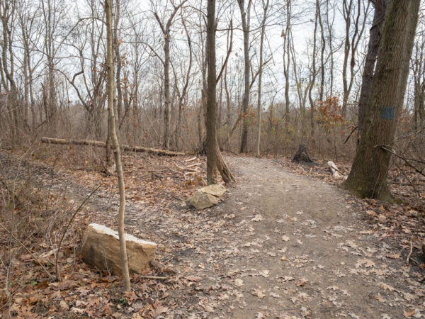 Waterfall Trail in Pittsburgh's Settler's Cabin Park