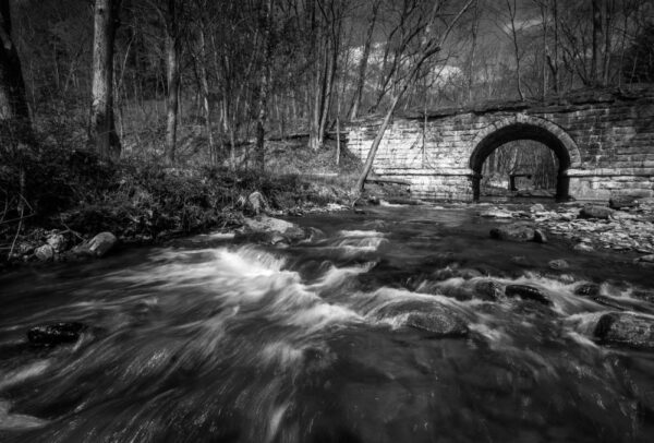 Dotter Eddy in Venango County PA