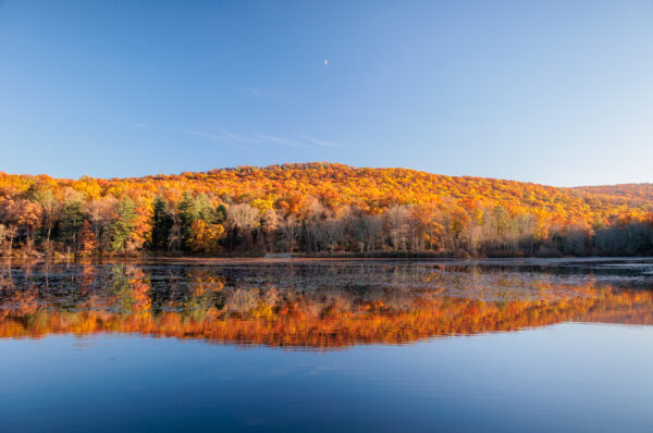 PA Fall foliage along Laurel Lake in Pine Grove Furnace State Park.