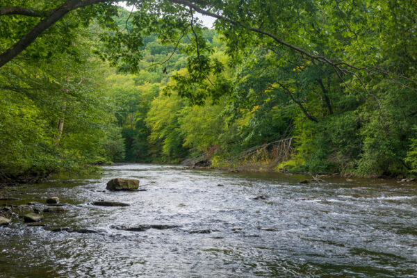 Looking upstream on the Little Toby Creek in Elk County Pennsylvania