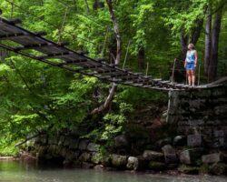 Biking the Little Toby Creek Trail to an Amazing Swinging Bridge