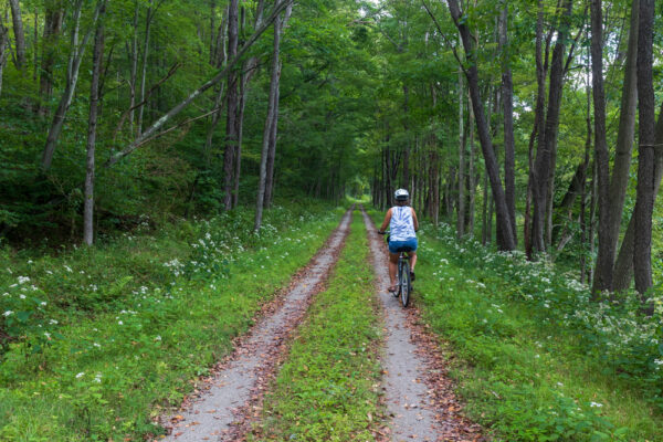 Woman biking the Little Toby Creek Rail Trail in the PA Wilds