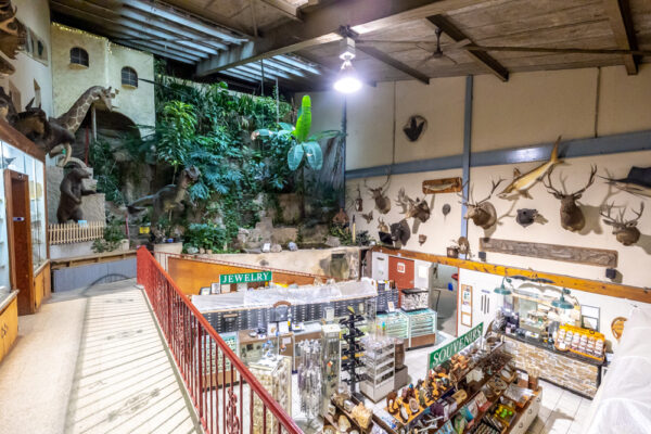Museum and Gift shop at Lost River Caverns in the Lehigh Valley