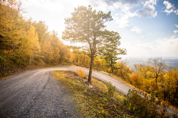 Views from road in Rothrock State Forest in Huntingdon County PA