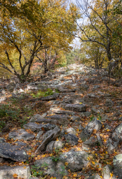 Standing Stone Trail atop Stone Mountain in Huntingdon County PA