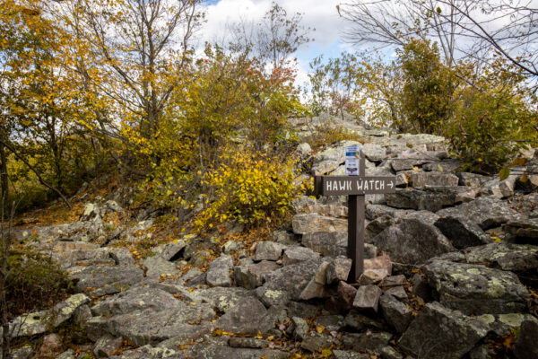 Stone Mountain Hawk Watch sign in Rothrock State Forest