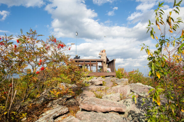 Men looking for birds at Stone Mountain Hawk Watch in Rothrock State Forest