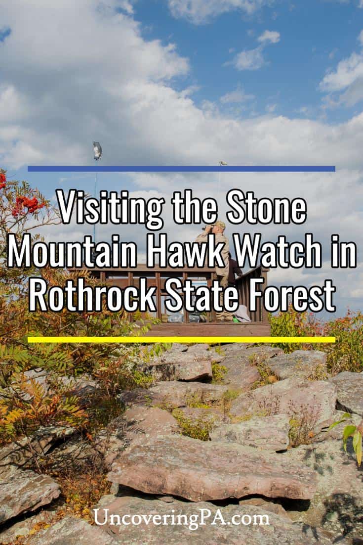 Visiting Stone Mountain Hawk Watch in Rothrock State Forest Uncovering PA