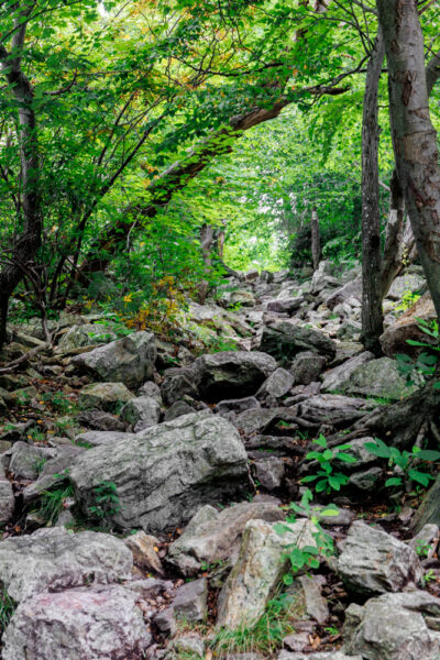 Rock covered Appalachian Trail near Bake Oven Knob in Pennsylvania