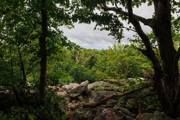 Vista along the Appalachian Trail in Pennsylvania near Bake Oven Knob